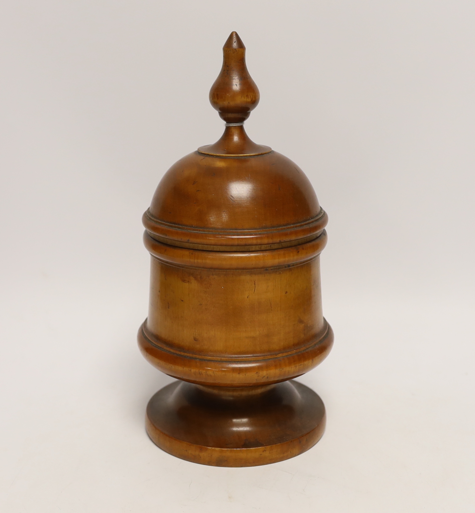 A 19th century fruitwood lidded tea caddy, 28cm